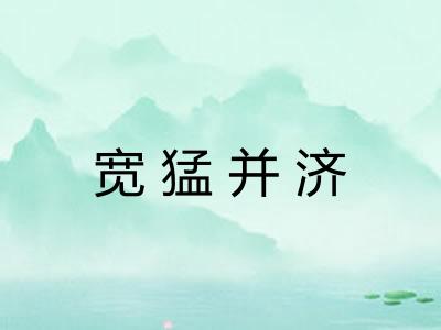 宽猛并济