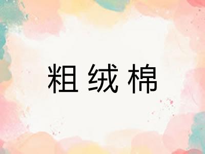 粗绒棉 粗绒棉