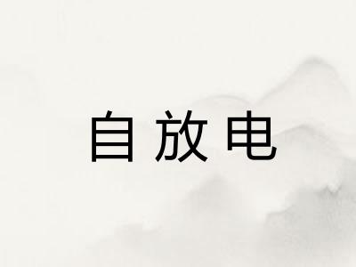 自放电