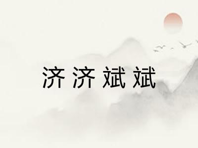 济济斌斌