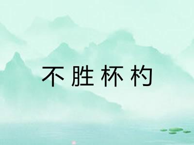 不胜杯杓