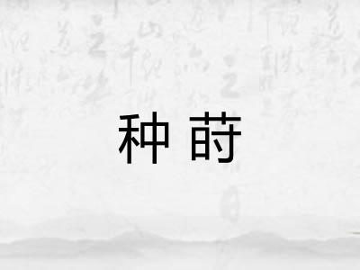 种莳