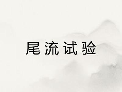 尾流试验