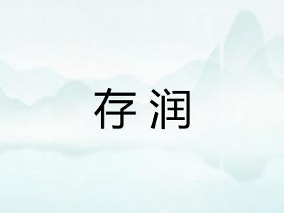 存润