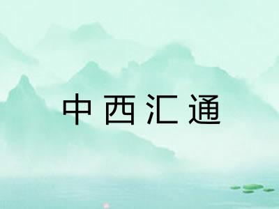 中西汇通