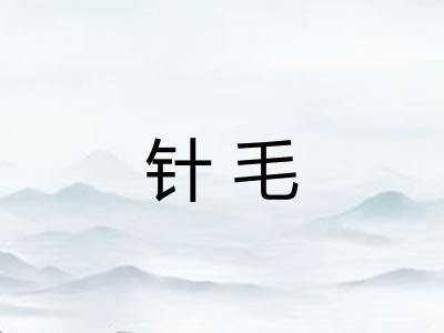 针毛 针毛