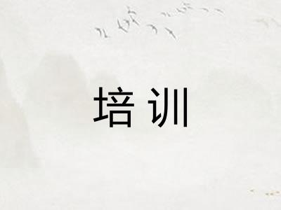 培训