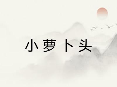小萝卜头