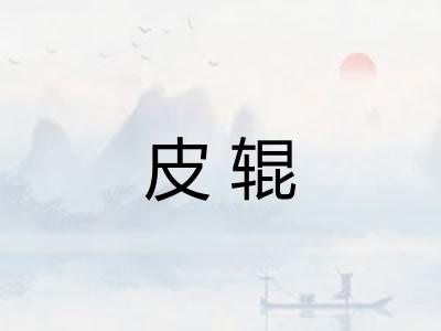 皮辊