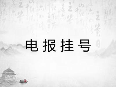 电报挂号