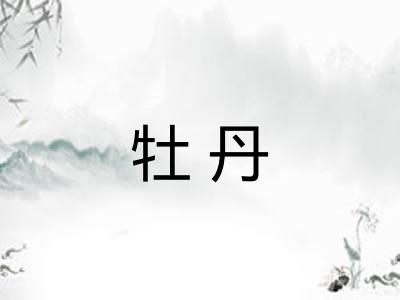 牡丹 牡丹