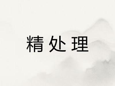 精处理