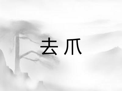 去爪