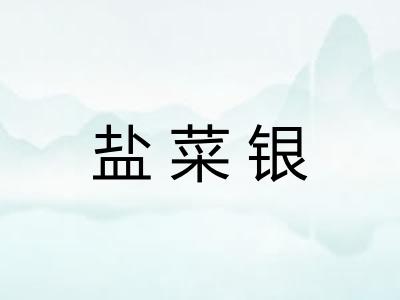 盐菜银