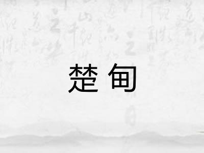 楚甸