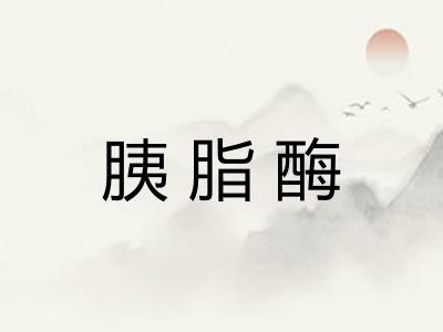 胰脂酶