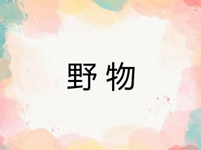 野物