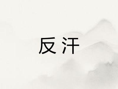 反汗