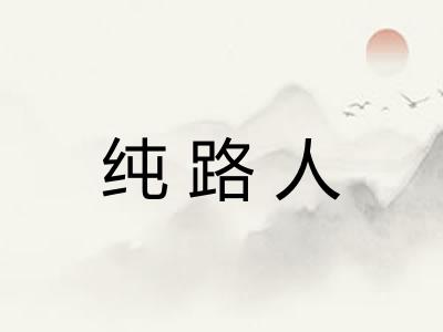 纯路人