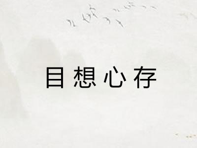 目想心存