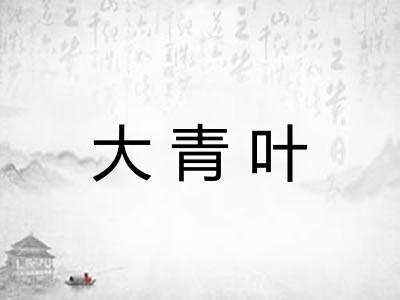 大青叶