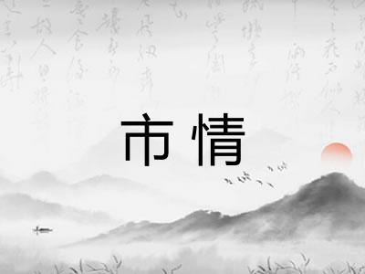 市情