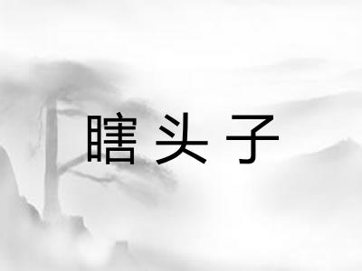瞎头子