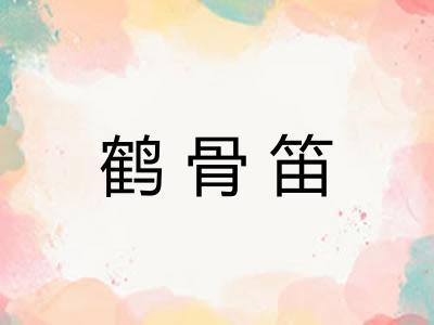 鹤骨笛
