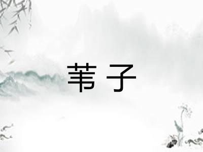苇子