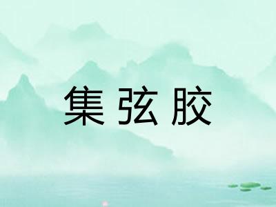 集弦胶