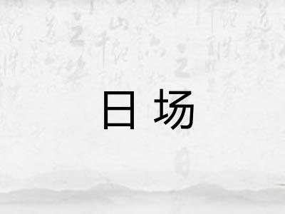 日场