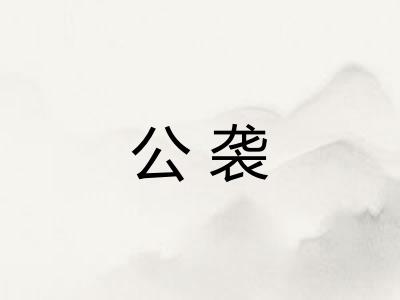 公袭