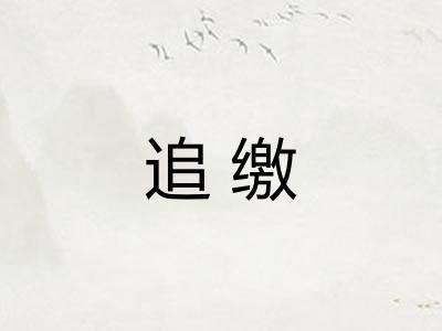 追缴 追缴