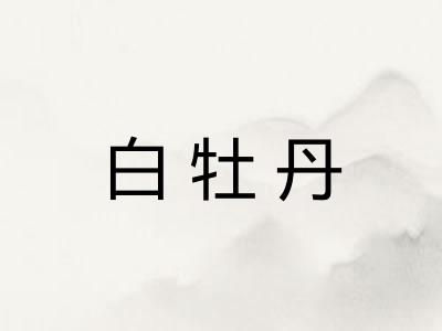 白牡丹