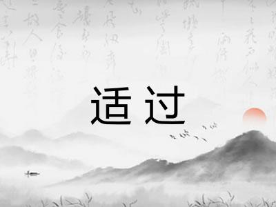 适过 适过