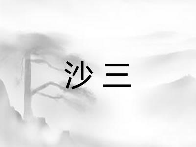 沙三