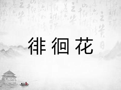 徘徊花