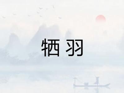 牺羽