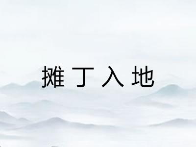 摊丁入地