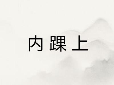 内踝上