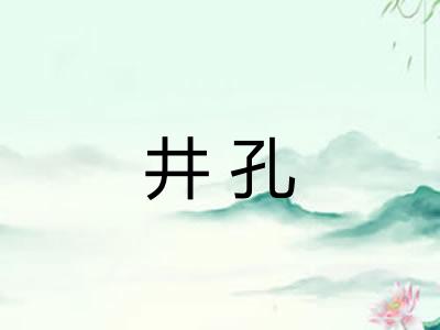井孔