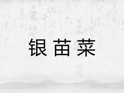 银苗菜