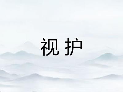 视护