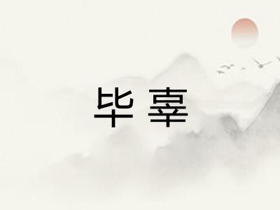 毕辜
