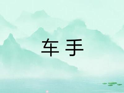 车手