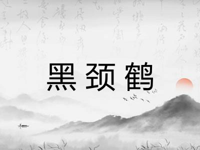 黑颈鹤 黑颈鹤