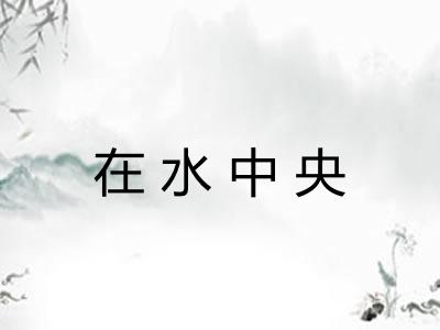 在水中央