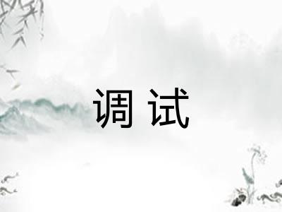 调试