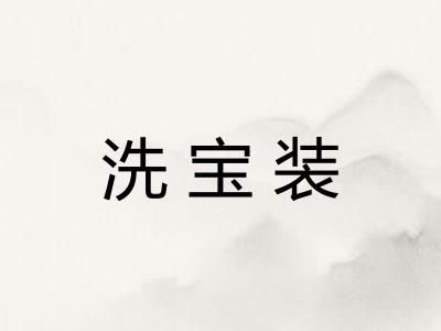 洗宝装