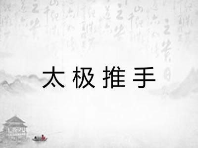 太极推手